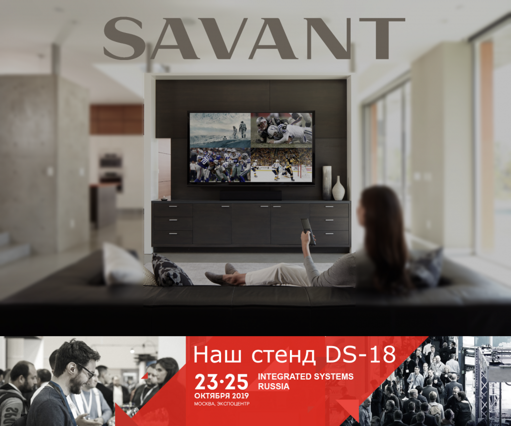 SAVANT-_-DS_18_1_final.png